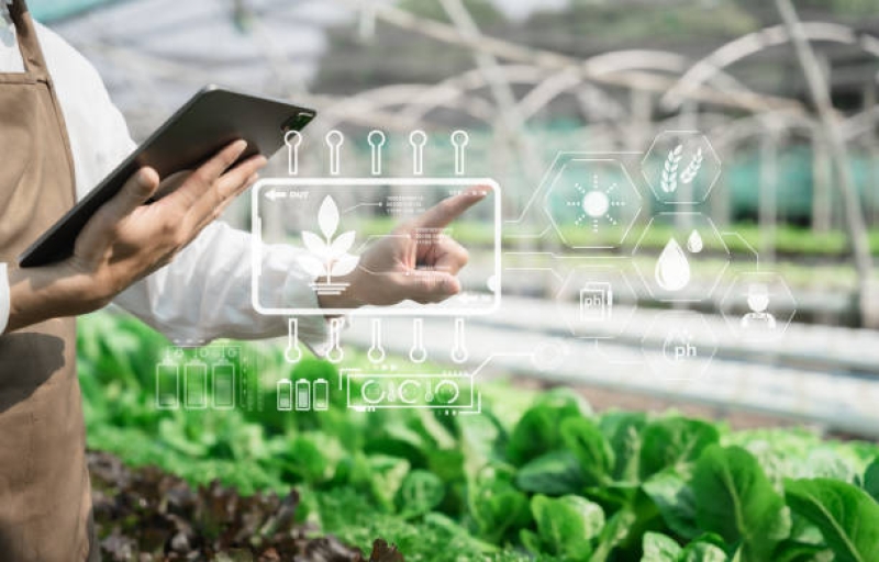The Benefits of Custom Software in the Agricultural Industry