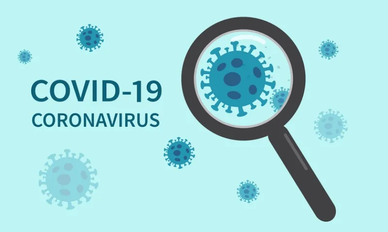 Solweb and Corona Virus Covid – 19