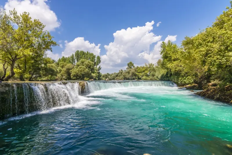waterfalls and trees