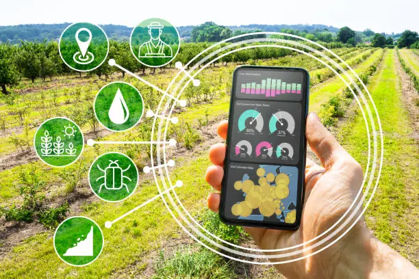 phone in field