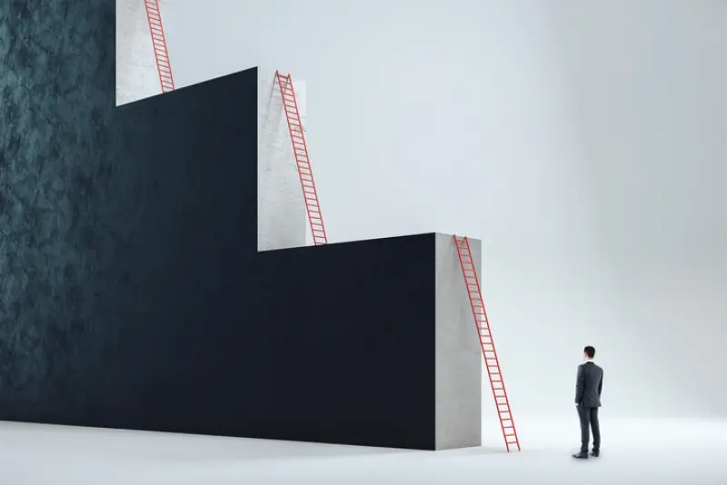 big ladders
